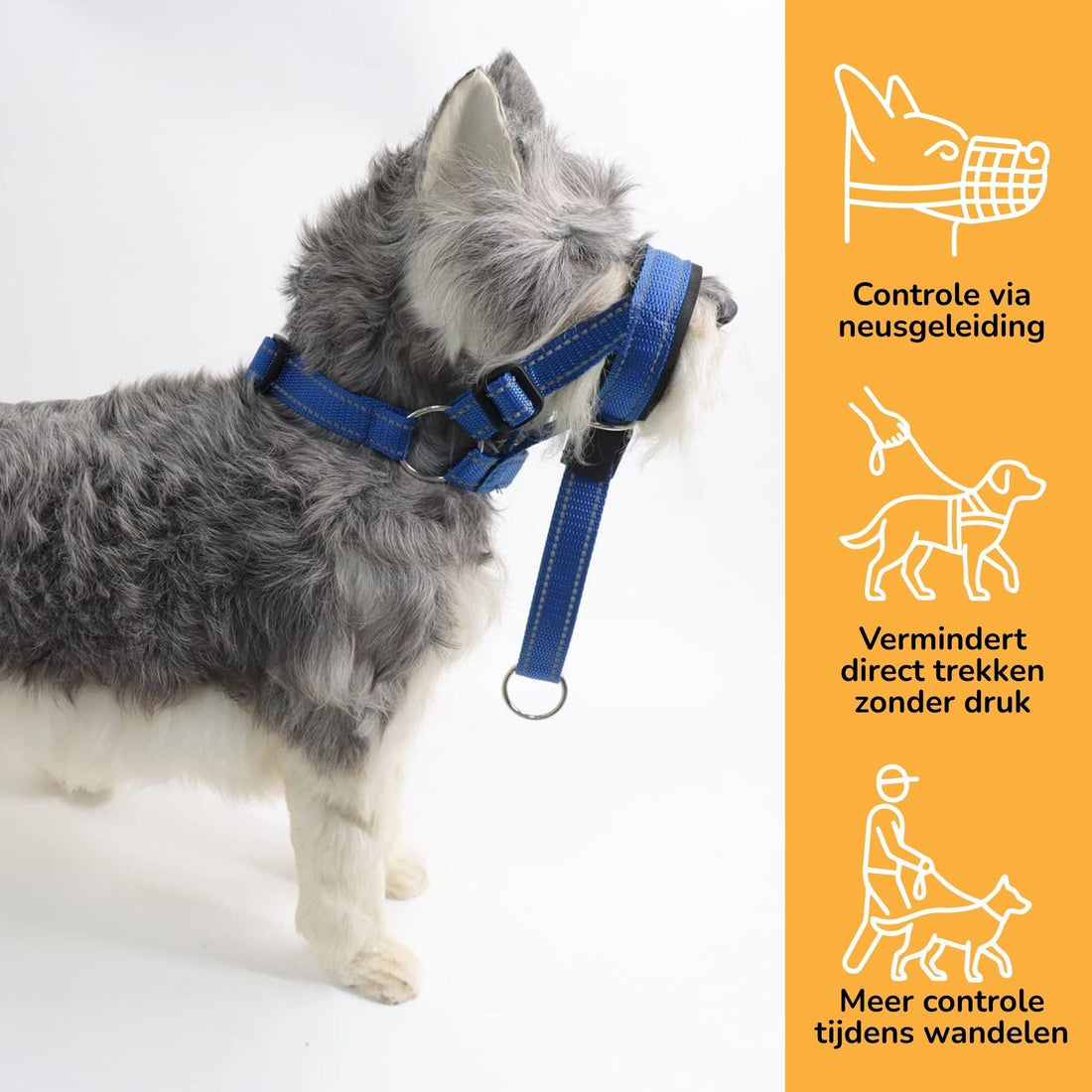 Dog Head Harness | Anti-Pull, Padded | Walk Control | Wynne