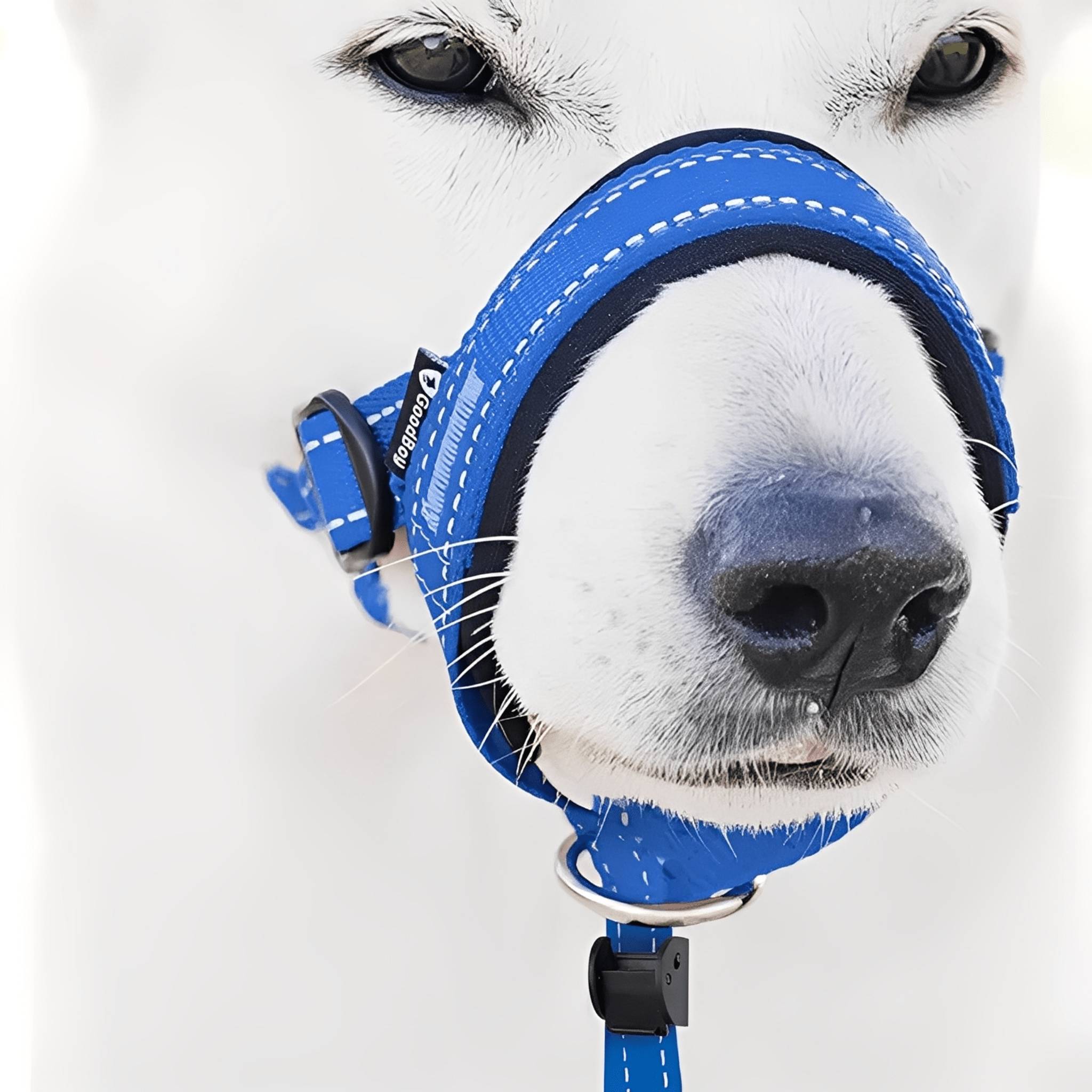 Dog Head Collar | No Pull, Padded Nose Loop | Adjustable Control