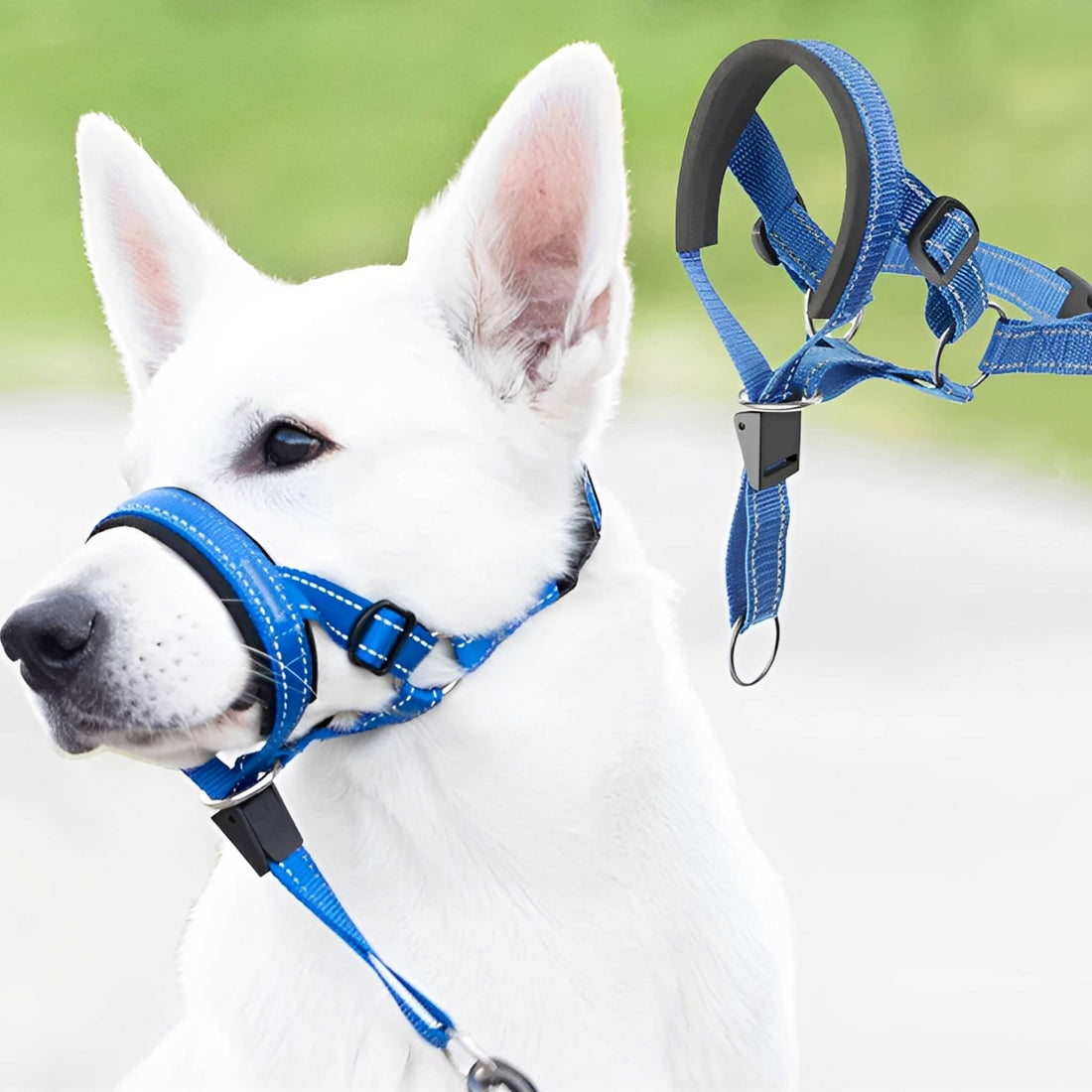 Dog Head Collar | No Pull, Padded Nose Loop | Adjustable Control