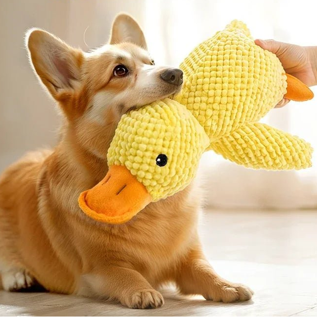 Elsa | Pet Calming Toy | Plush Duck Dog Toy | Soft, Sound & Bite Resistant