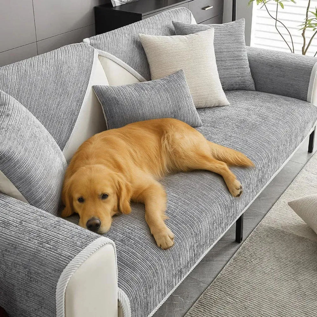 Nora | Pet Seat Cover for Sofas | Anti-Slip, Protective, Multi-Size