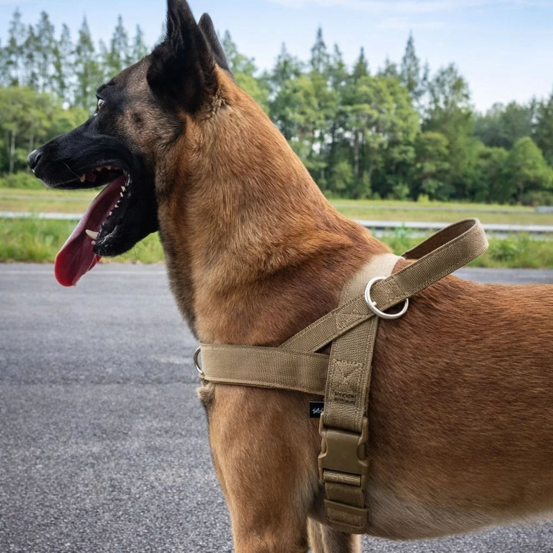 Dog Harness | No-Pull, Adjustable | Delphine, All Sizes