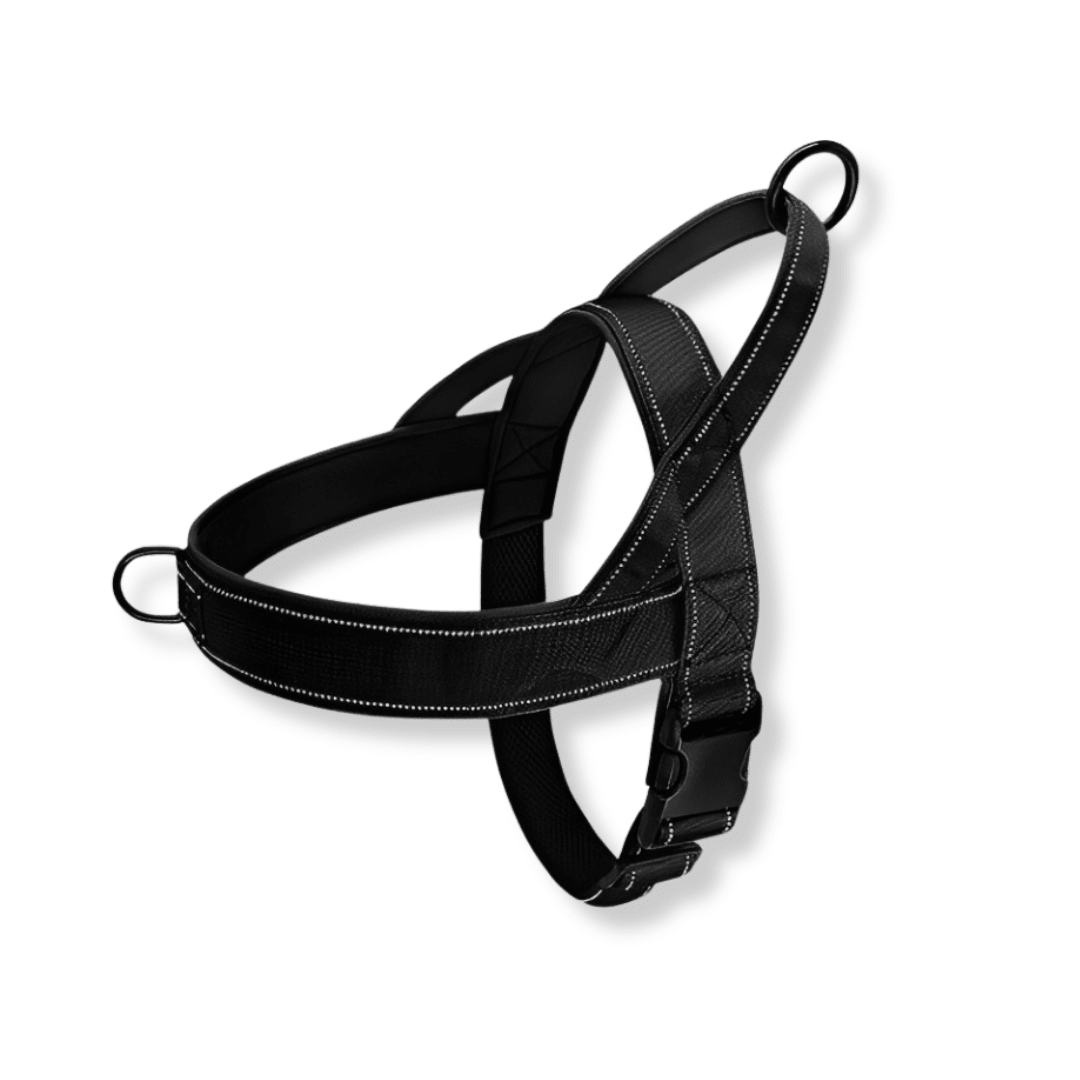 Dog Harness | No-Pull, Adjustable | Delphine, All Sizes