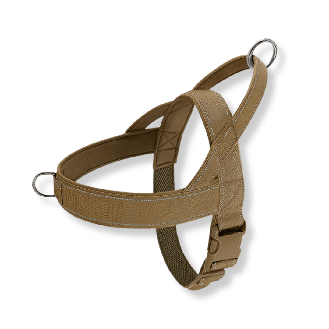 Dog Harness | No-Pull, Adjustable | Delphine, All Sizes