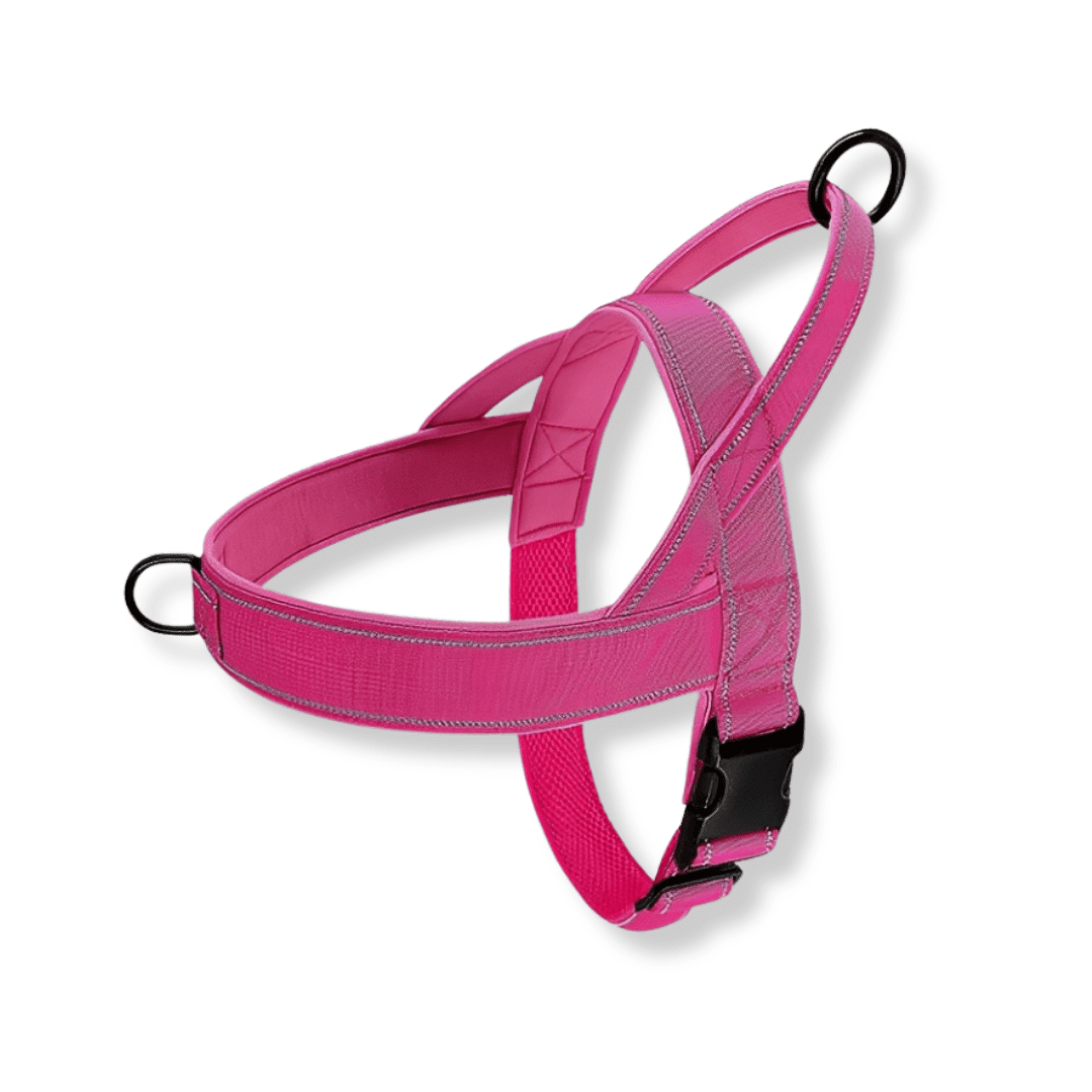 Dog Harness | No-Pull, Adjustable | Delphine, All Sizes