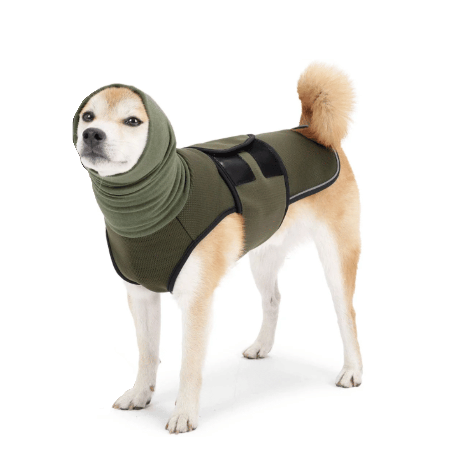 Pearl | Dog Thundershirt | Anti-Anxiety Calming Vest for Dogs | Stress Relief